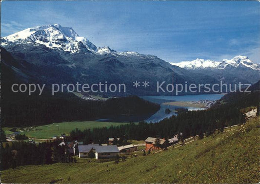 11877306 St Moritz GR Randolins avec Piz Corvatsch et La Margna St. Moritz