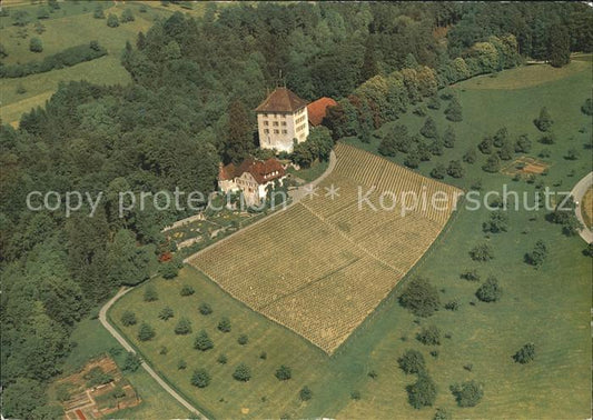 11880951 Gelfingen Schloss Heidegg Fliegeraufnahme Gelfingen