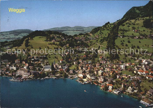 11889647 Weggis Vierwaldstaettersee am Vierwaldstaettersee Fliegeraufnahme Weggi