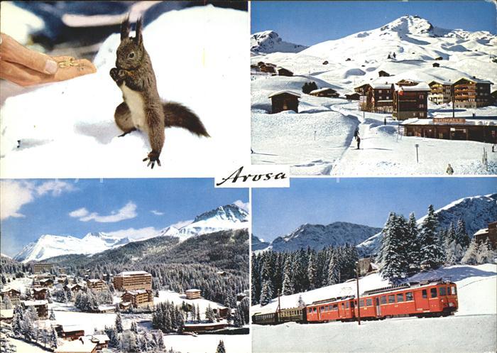 11891277 Arosa GR Eichhoernchen Untersee Weisshorn Rhaetische Bahn Arosa