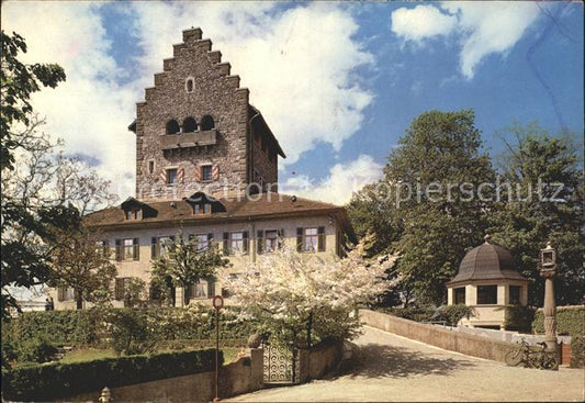 11896644 Uster ZH Château d'Uster Uster