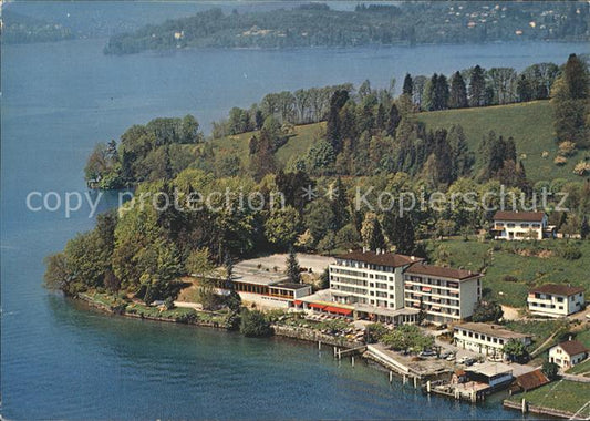 11904175 Hertenstein LU Hotel Hertenstein Vierwaldstaettersee Fliegeraufnahme He