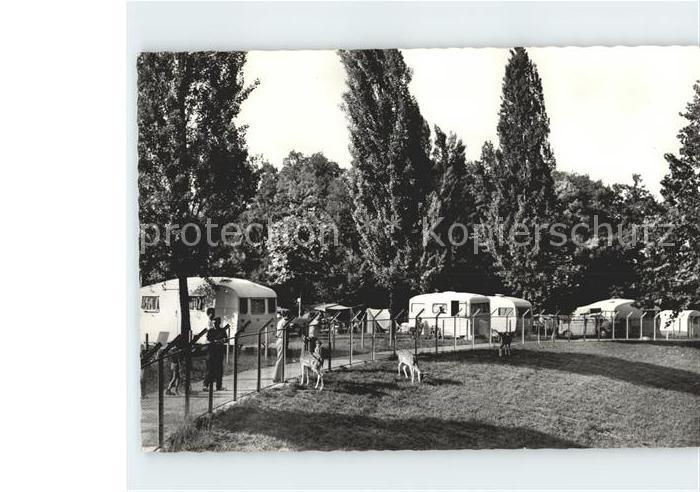 11977368 Genève GE Camping du Bois de la Batie Genève GE