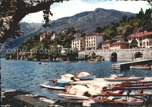 11963571 Ascona TI Porto Lac Majeur Collina San Michele Ascona