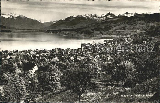 12014906 Waedenswil Vue générale avec panorama alpin Lac de Zurich Waedenswil