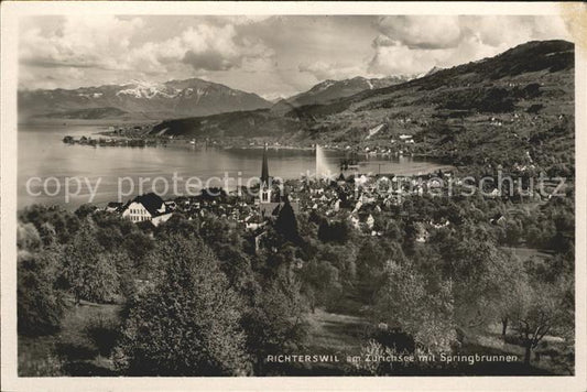 12012550 Richterswil Panorama Lac de Zurich Fontaine Alpes Richterswil