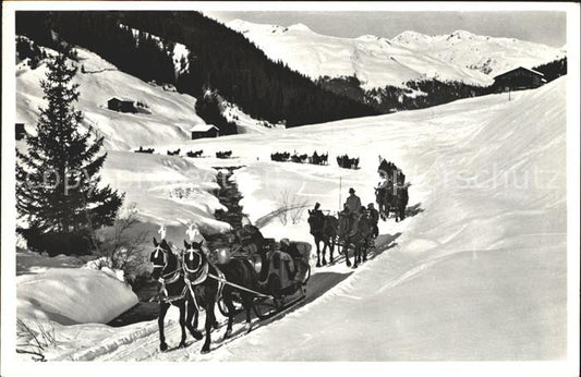 12036703 Davos GR Traîneau tiré par des chevaux sur la Sertigtal Davos Platz