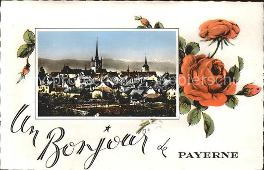 11919805 Fleur rose de Payerne Payerne