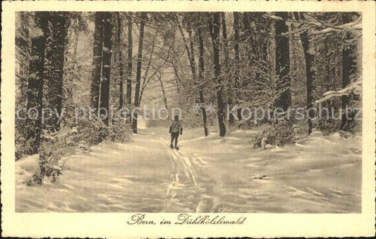 12048527 Bern BE dans le Daehlhoelzliwald Berne