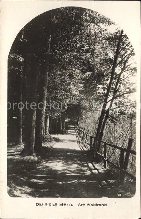 12048536 Bern BE Chemin du Daehlhoelzli en lisière de forêt à Berne