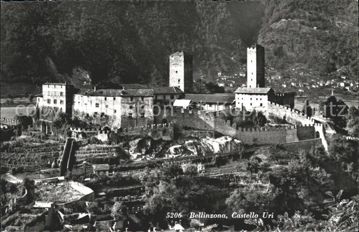 12045935 Bellinzone Château Uri Bellinzone