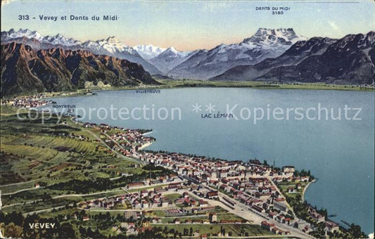 12052154 Vevey VD Carte panoramique Alpes et Lac Léman Vevey