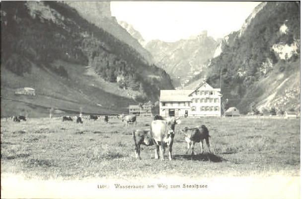 10575349 Wasserauen Wasserauen  ungelaufen ca. 1910