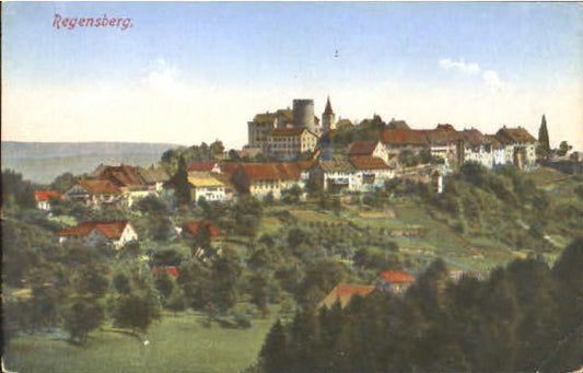 10575386 Regensberg Dielsdorf ZH Regensberg  ungelaufen ca. 1920