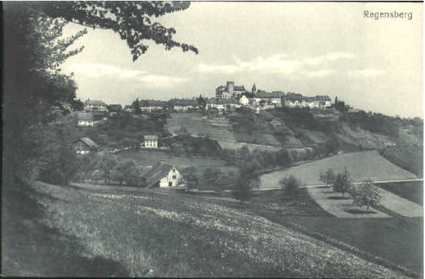 10575387 Regensberg Dielsdorf ZH Regensberg Feldpost ungelaufen ca. 1910