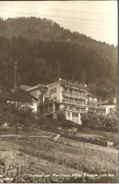 10575587 Montreux VD Montreux Hotel Iris ungelaufen ca. 1930