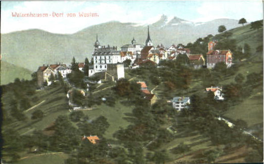 10575639 Walzenhausen AR Walzenhausen  ungelaufen ca. 1910