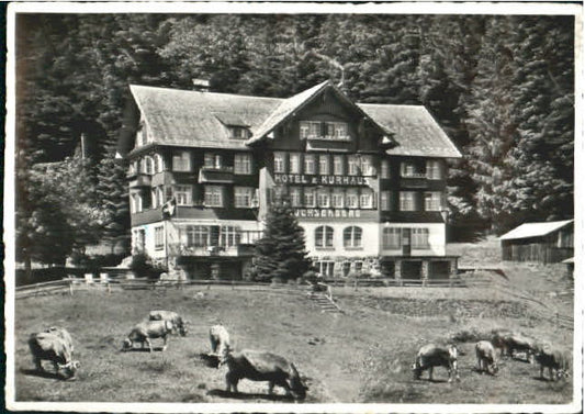 10575814 Buchs SG Buchs SG Hotel Kurhaus Buchserberg Feldpost x 1945