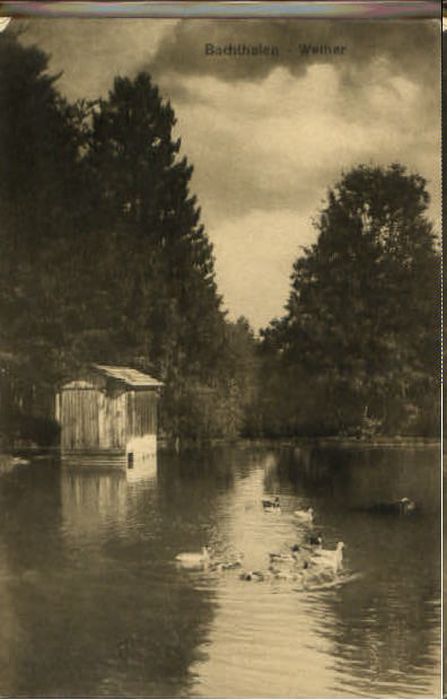 10202684 Langenbruck Langenbruck [Verlag] Bachthalen Weiher ungelaufen ca. 1910