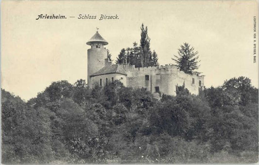 10543187 Arlesheim Arlesheim Schloss Birseck * Arlesheim