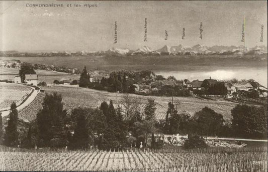 11019185 Neuchatel NE [Stempelabschlag]