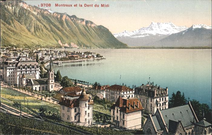 11019468 Montreux VD Dent du Midi