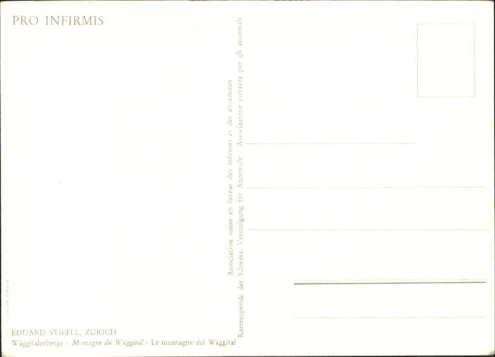 11019617 Zuerich Kuenstler Eduard Stiefel Waeggistalerberge