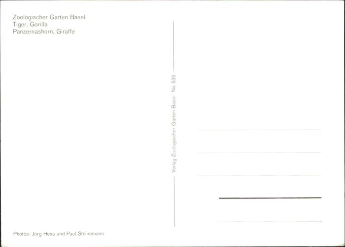 11019628 Basel BS Zoologischer Garten Loewe Giraffe Affe Nashorn