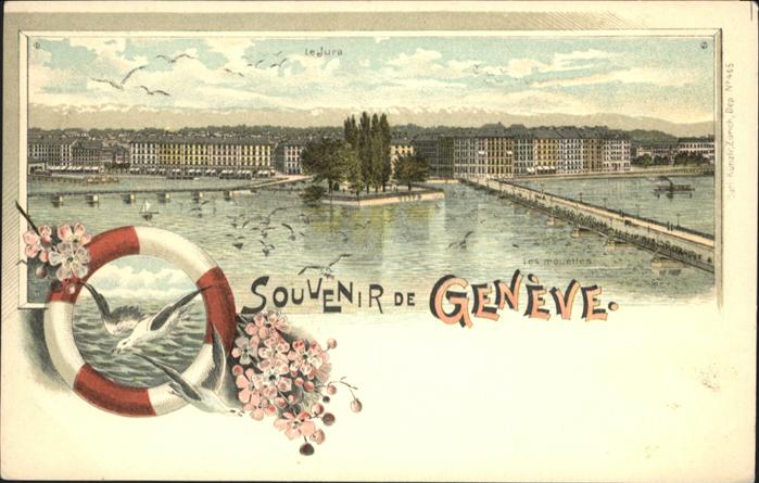 11027316 Geneve GE Bruecke Voegel