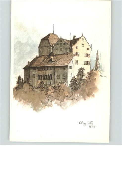 11042677 Aarau AG Schloss Wildegg