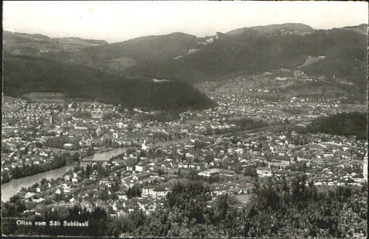 10576073 Olten Olten Saeli-Schloesschen