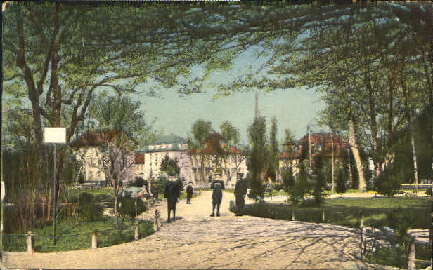 10576243 Winterthur Winterthur Stadtgarten x 1918