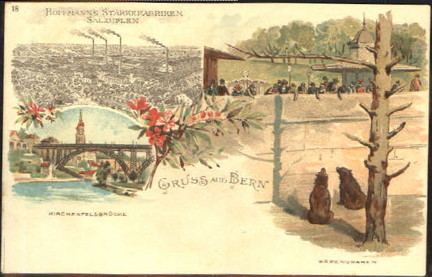 10578497 Bern BE Bern Baerengraben Bruecke ungelaufen ca. 1900