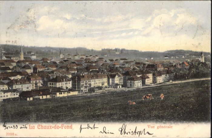 10890719 La Chaux-de-Fonds La Chaux-de-Fonds Kuehe x