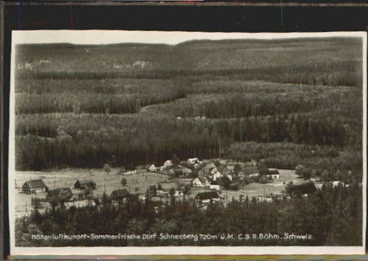 10019397 Dorf ZH Dorf Schneeberg  1930 Dorf