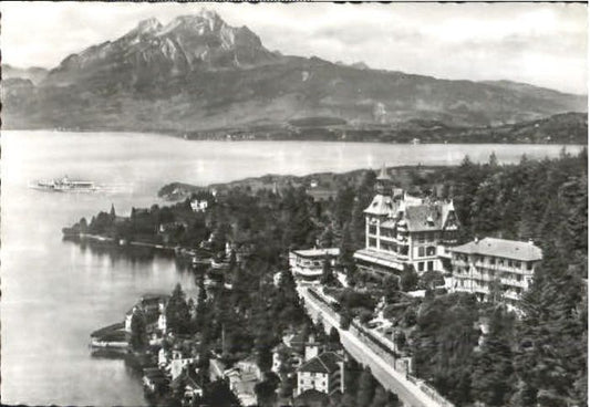 10579479 Weggis Vierwaldstaettersee Weggis Hotel Albana Fliegeraufnahme  x 1952