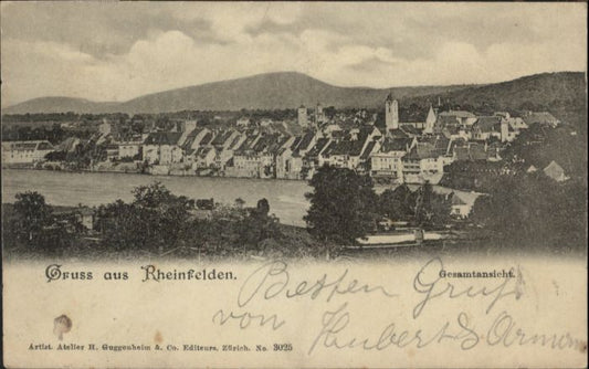 10845613 Rheinfelden AG Rheinfelden  x