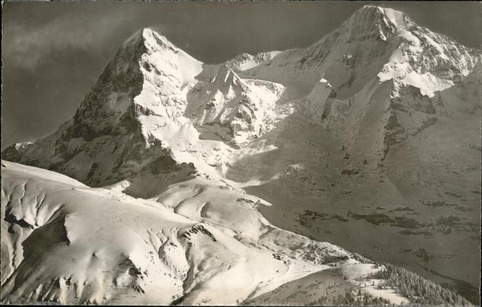 11186555 Wengernalp Fliegeraufnahme Wengen