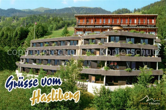 13859111 Hasliberg Meiringen BE Hôtel Viktoria