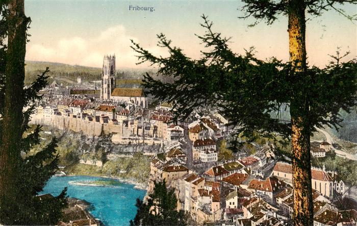 13883902 Fribourg FR Panorama