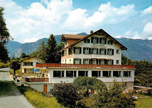 13887380 Wilderswil Wilderswyl BE Hôtel-Pension Schloessli