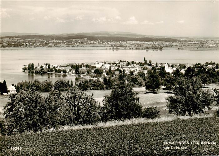 13887383 Panorama d'Ermatingen Untersee Ermatingen Untersee