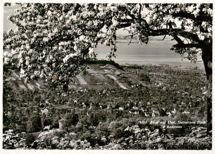 13897551 Thal Bodensee SG Panorama avec table en pierre