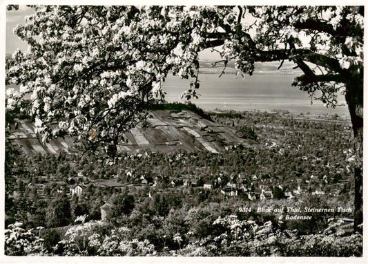 13897551 Thal Bodensee SG Panorama mit Steinernem Tisch