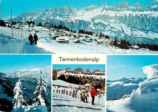 13899165 Flumserberge SG Panorama Tannenbodenalp Teilansichten