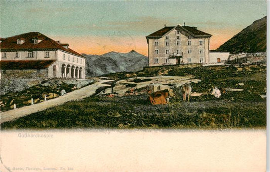 13898723 Gotthardhospiz Gotthard Hospiz TI Panorama