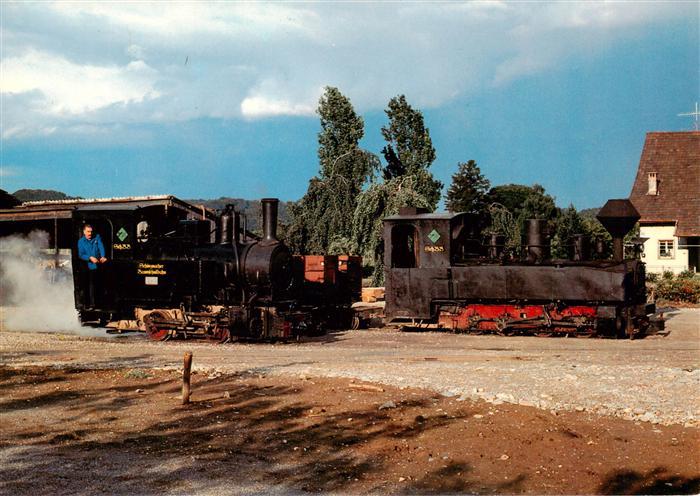 13901411 Schinznach Bad Schinznacher Baumschulbahn Dampflokomotiven Pinus und Ta