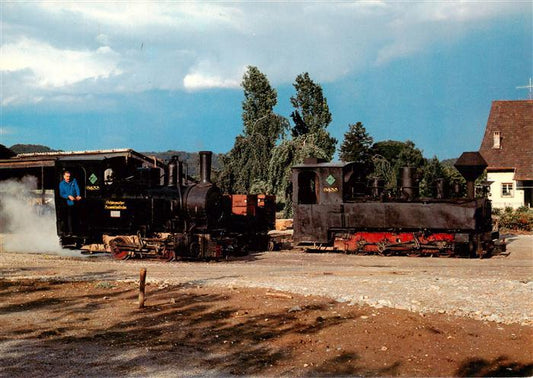 13901411 Schinznach Bad Schinznacher Baumschulbahn Dampflokomotiven Pinus und Ta