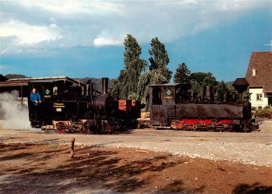 13901412 Schinznach Bad Schinznacher Baumschulbahn Dampflokomotiven Pinus und Ta