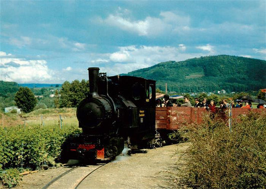 13901413 Schinznach Bad Schinznacher Baumschulbahn Dampflokomotive Pinus Schinzn